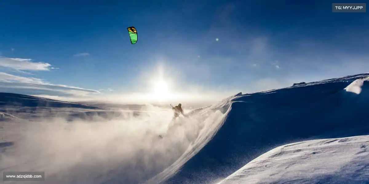 为什么选择我们